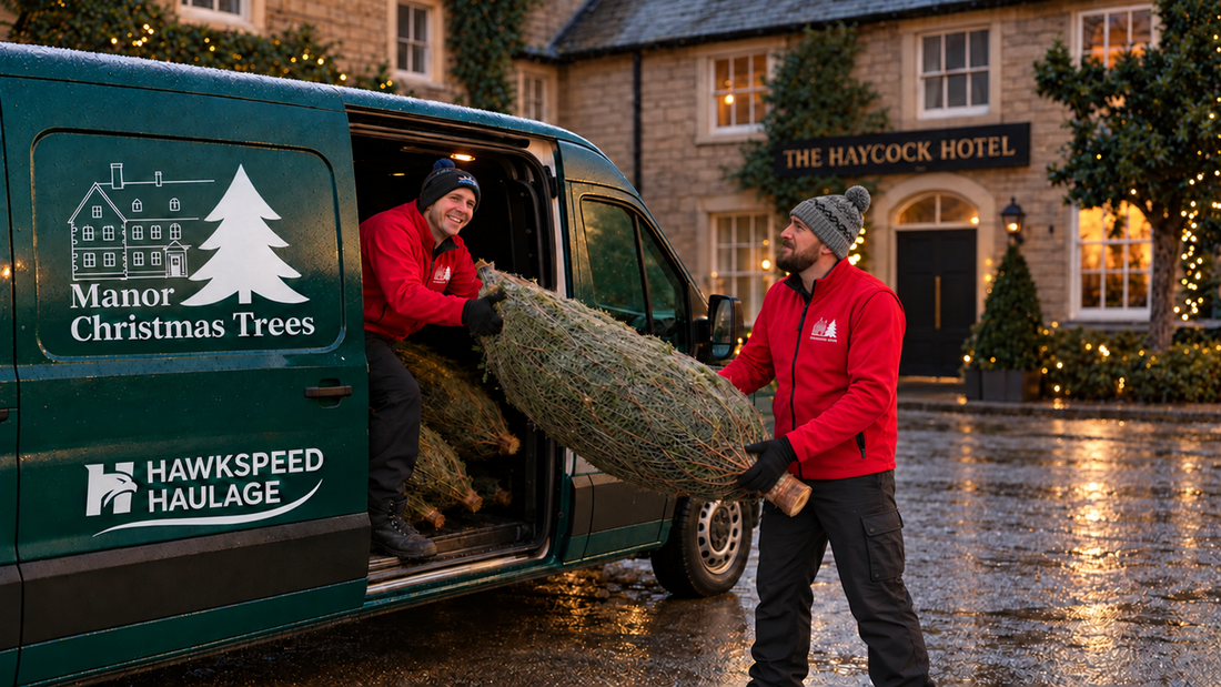 The Importance of Local Christmas Tree Delivery