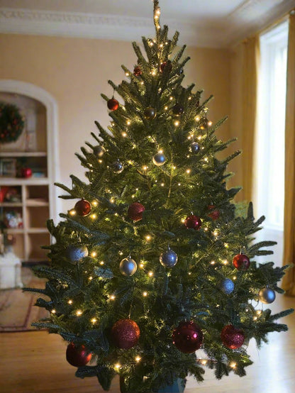 Premium Fraser Fir