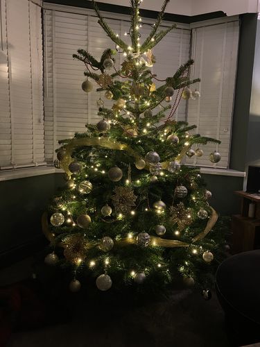 Standard Real Christmas Trees - Peterborough Christmas Trees