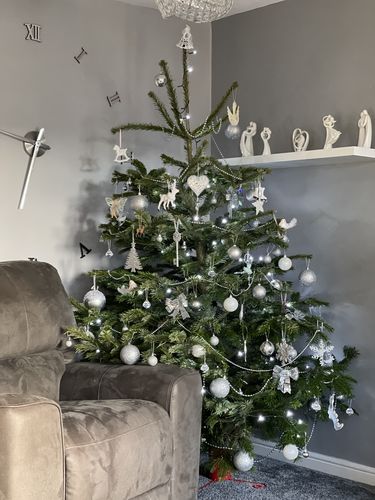 Standard Real Christmas Trees - Peterborough Christmas Trees