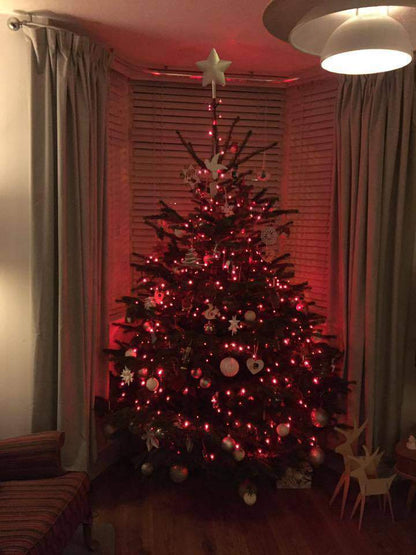 Premium Real Christmas Trees - Peterborough Christmas Trees